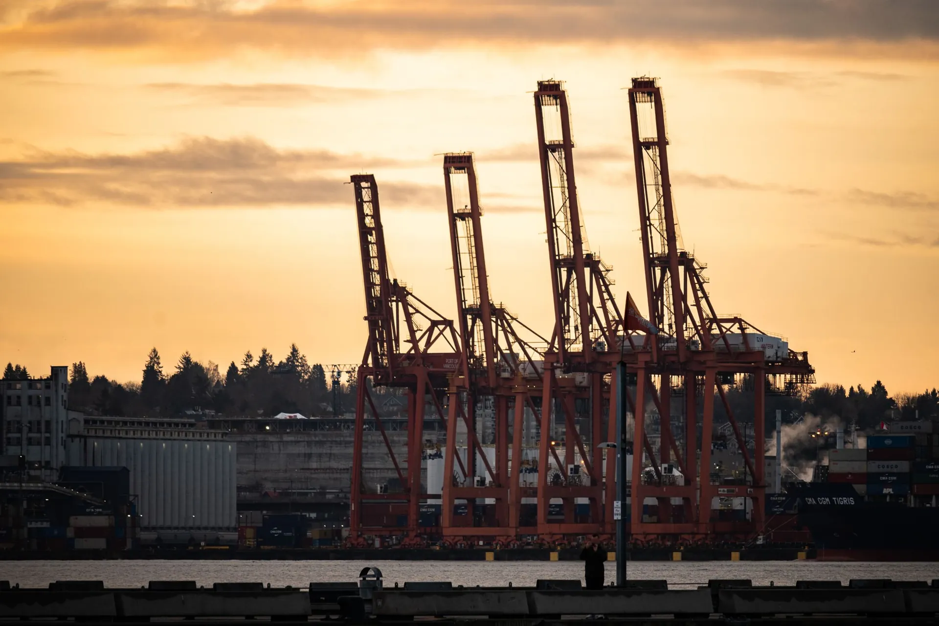 Shipyard cranes